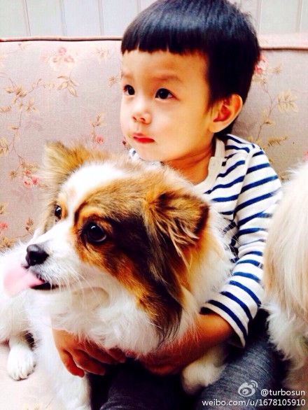 孙俪呼吁抵制狗肉节 晒等等抱狗照似 小孙俪 (