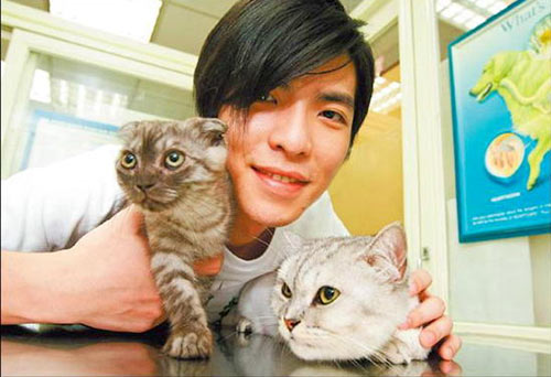 kimi抱猫咪玩耍爱心爆棚爱猫明星大盘点图5