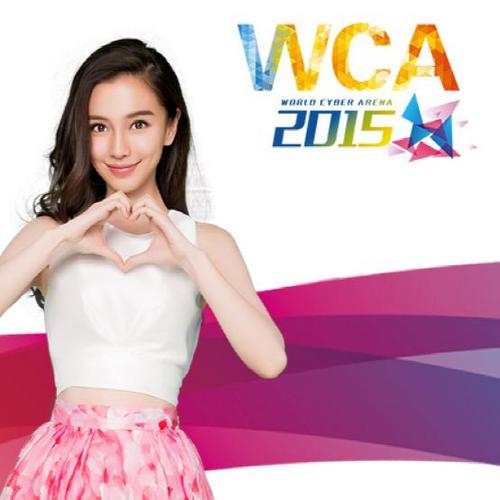 广州游博会wca2015angelababypk王思聪