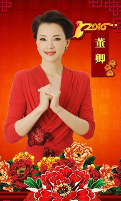 央视猴年春晚主持阵容曝光盘点那些令人难忘的美女主持5