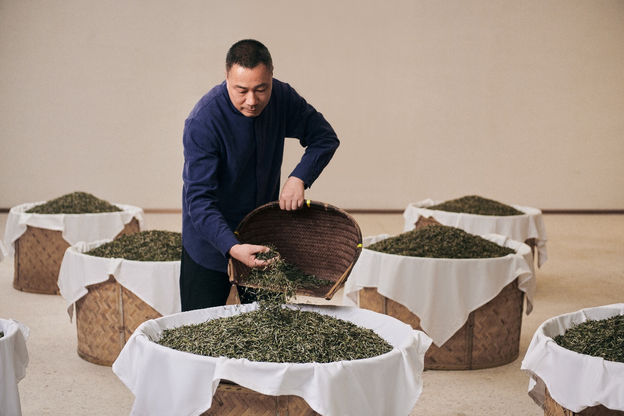 福鼎白茶制作身手的省级代表性传承东谈主林振传在制茶。受访者供图