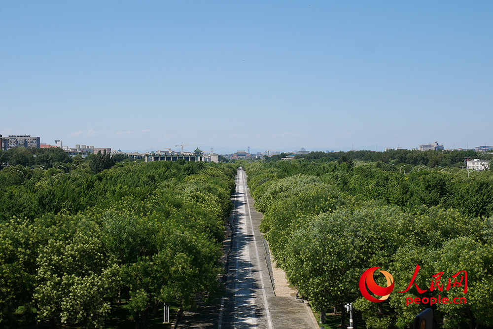 在南段的永定门城楼上远眺中轴线。东说念主民网记者 韦衍行摄