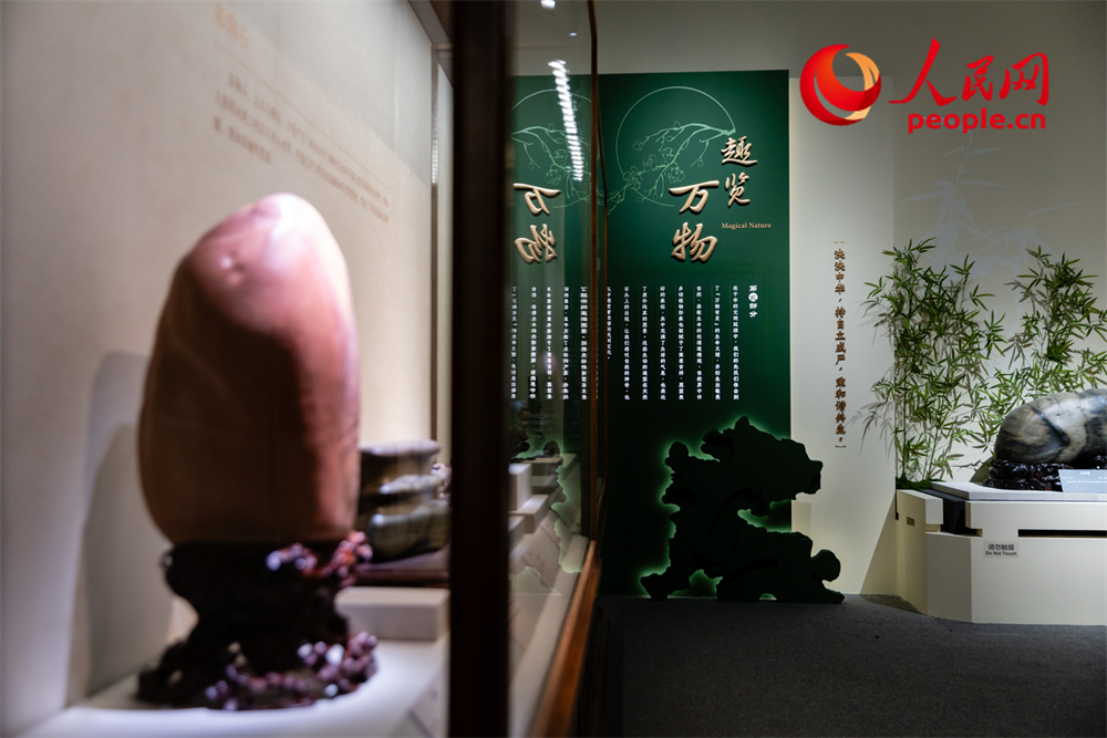 展厅现场。人民网记者 韦衍行摄