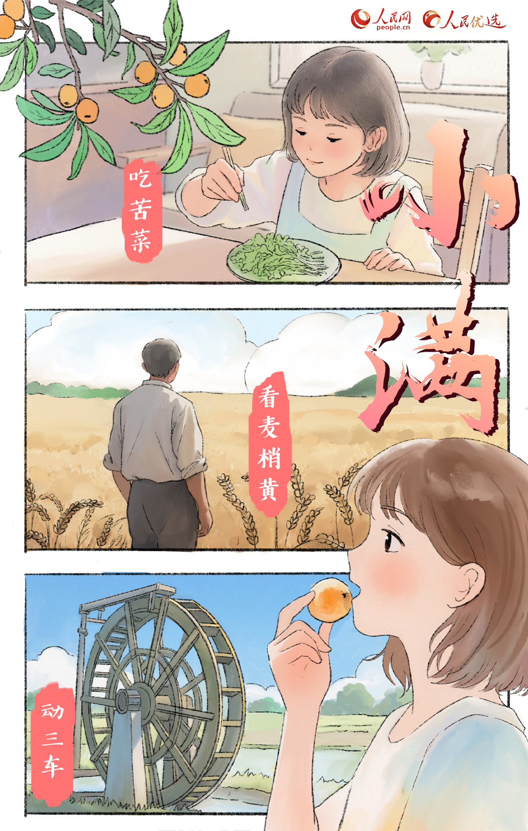 趣绘节气｜小满时节，吃苦菜有什么讲究？