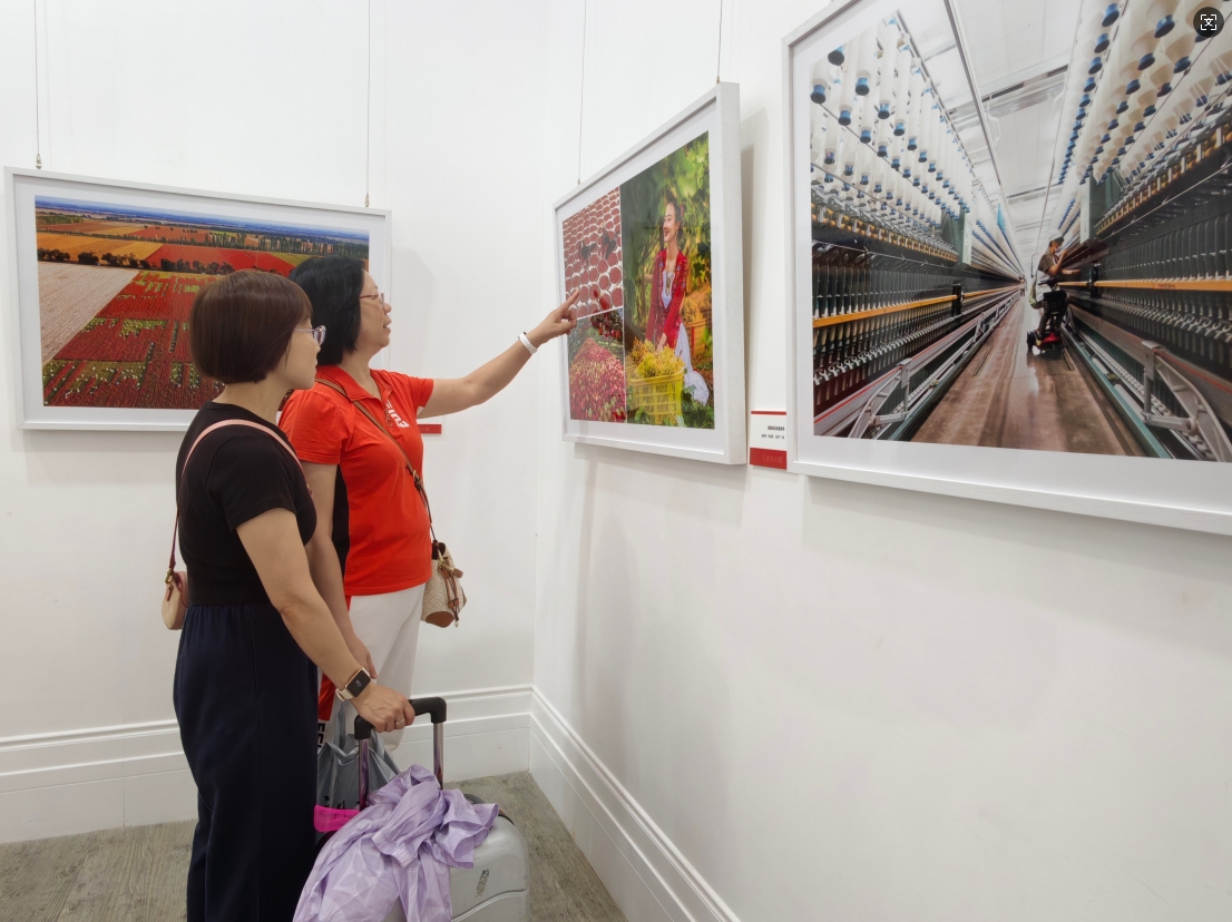 展览现场。主办方供图