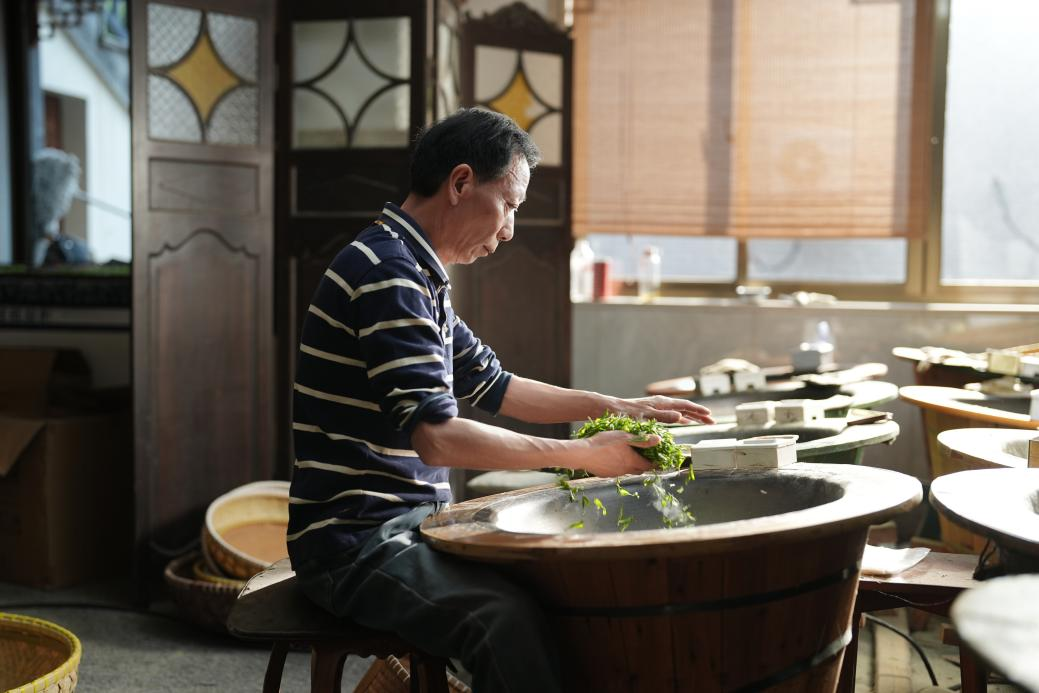 绿茶制作本领（西湖龙井）国度级代表性传承东谈主樊生华正在炒茶。周璨晨摄
