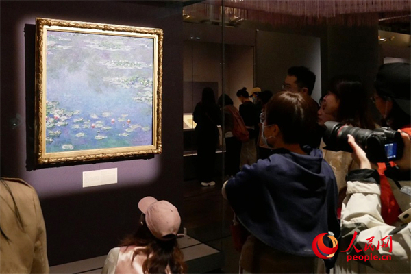 5月11日，不雅众在参不雅“乐林泉——中外园林文化展”。东谈主民网记者 韦衍行摄