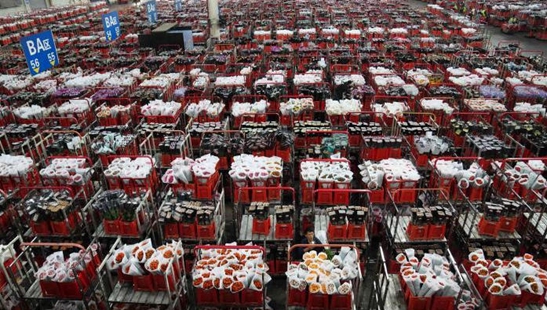 昆明迎来七夕鲜花交易高峰