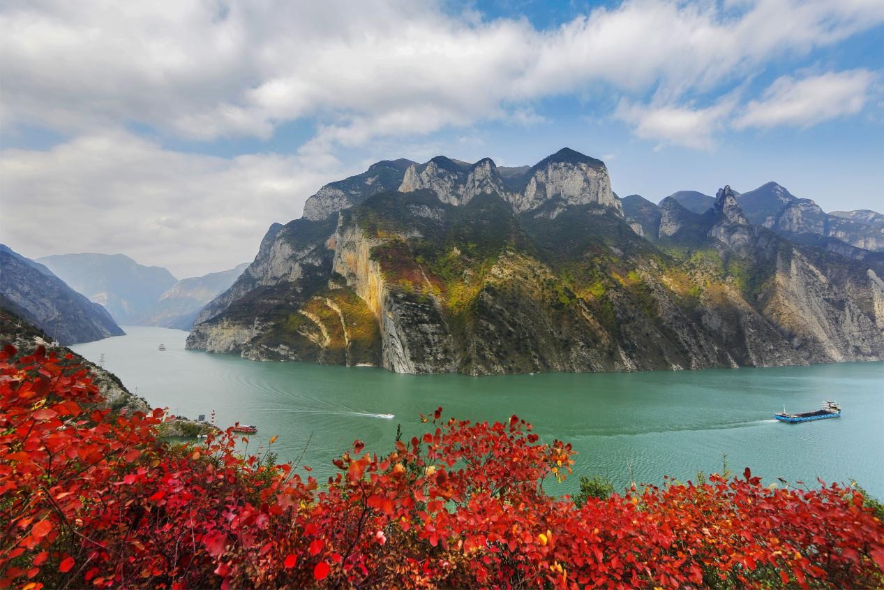 巫山红叶。主办方供图