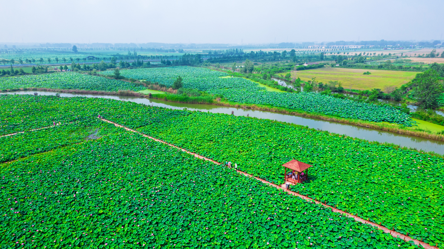 美丽的杉荷园景区