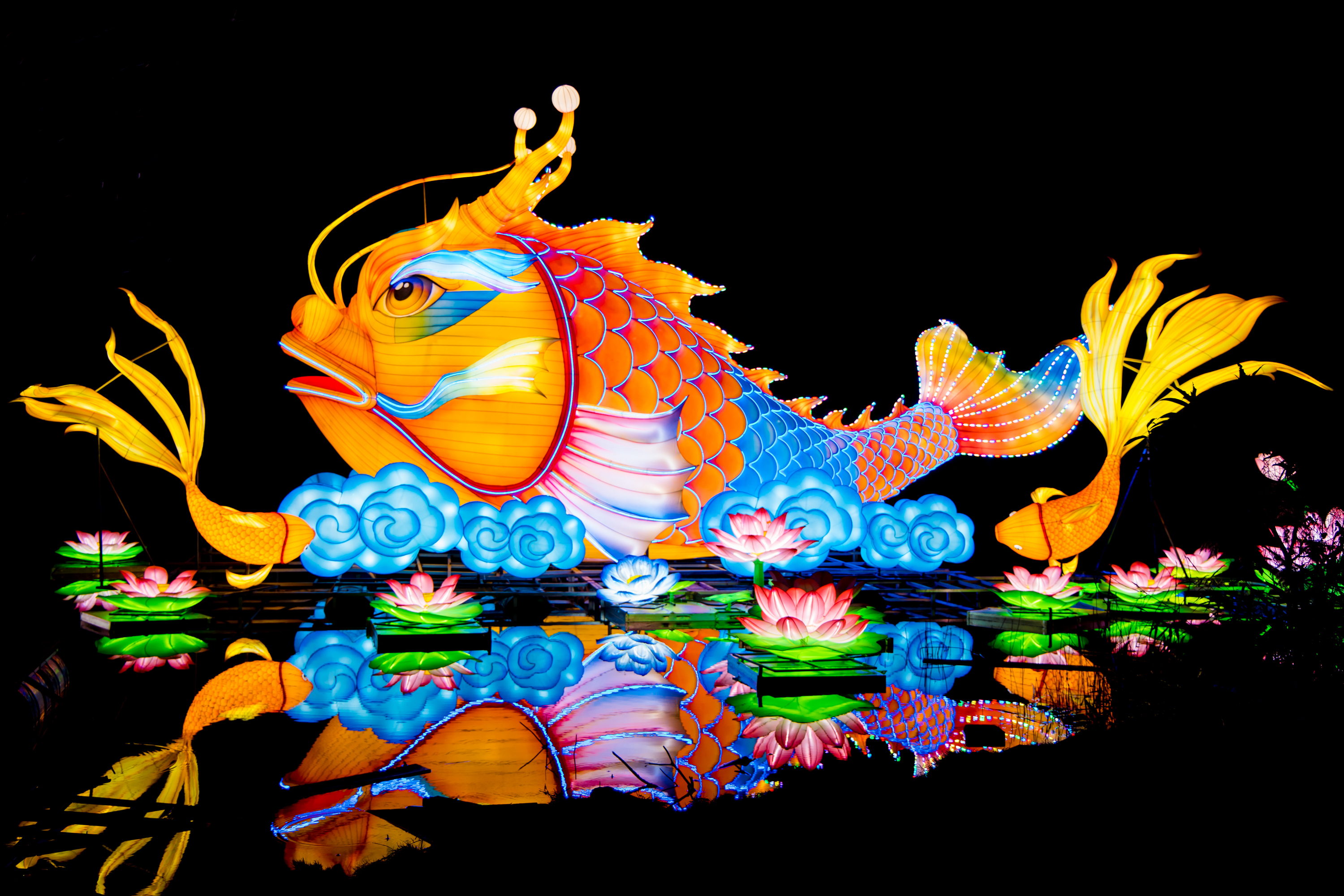 2026年粤港澳大湾区灯会现场，鳌鱼凌云灯组通过动态结构、光影特效与水境融合，传递“鳌鱼出海，福泽四方”的吉祥祝福。受访者供图