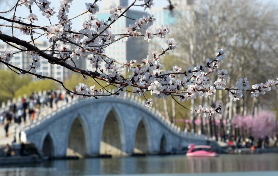 北京玉渊潭春花争艳