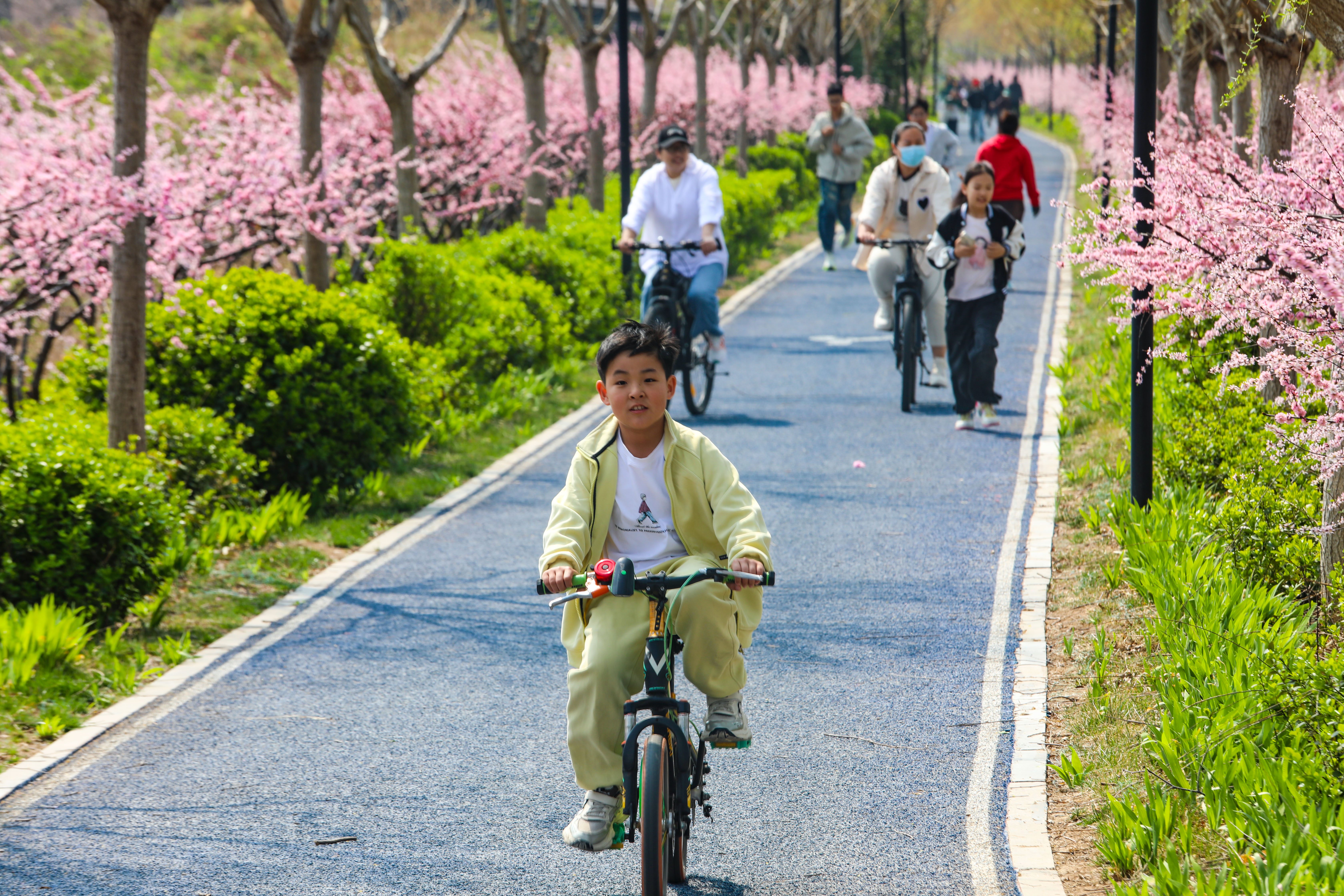 2026年3月29日，市民正在山东乐陵冀鲁边湿地公园骑行试验。山东省乐陵市委宣传部供图