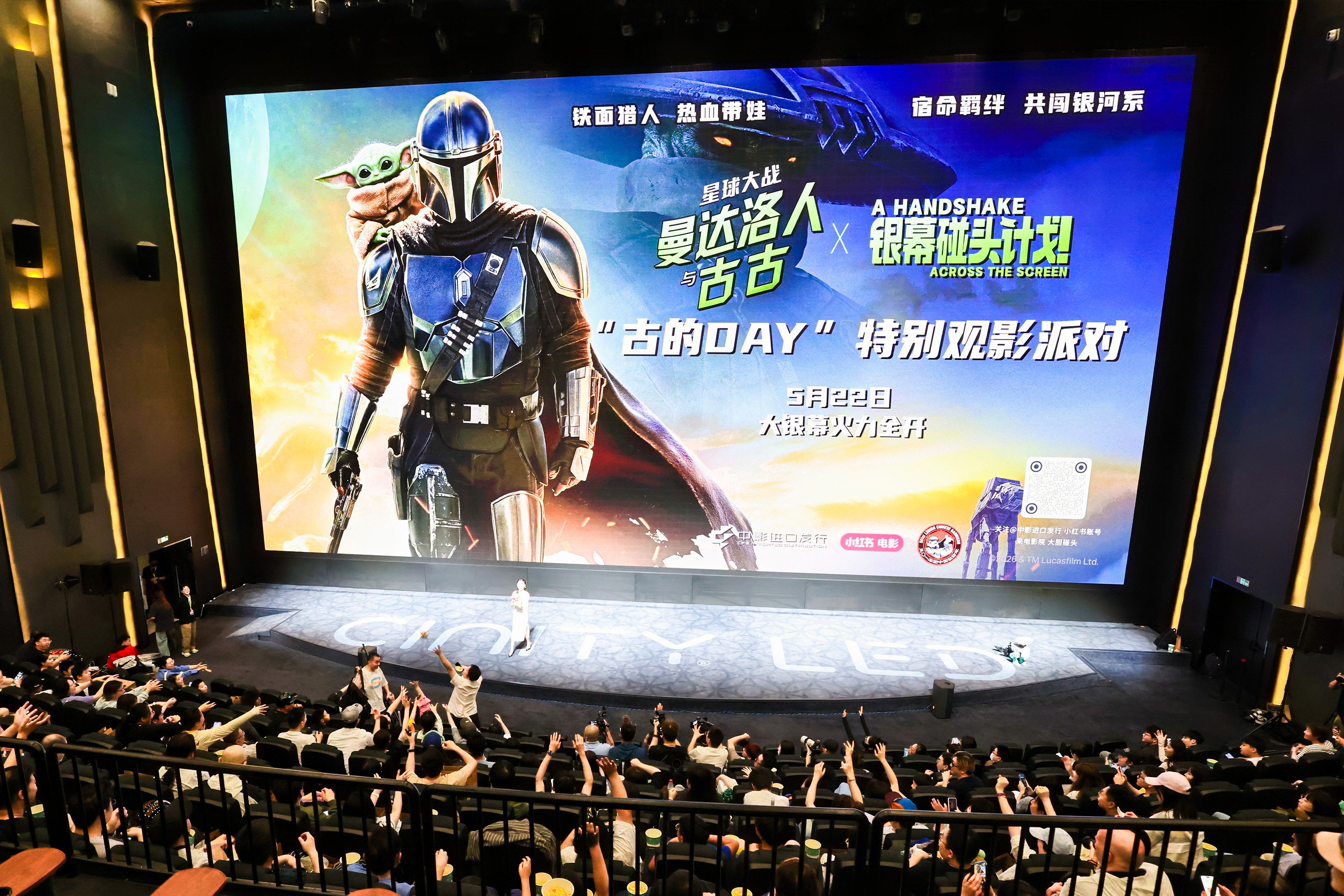观影派对现场。主办方供图
