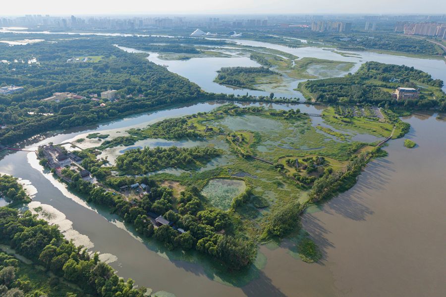 2025年8月1日拍摄的哈尔滨太阳岛国家湿地公园一景（无人机照片）。新华社记者 谢剑飞 摄