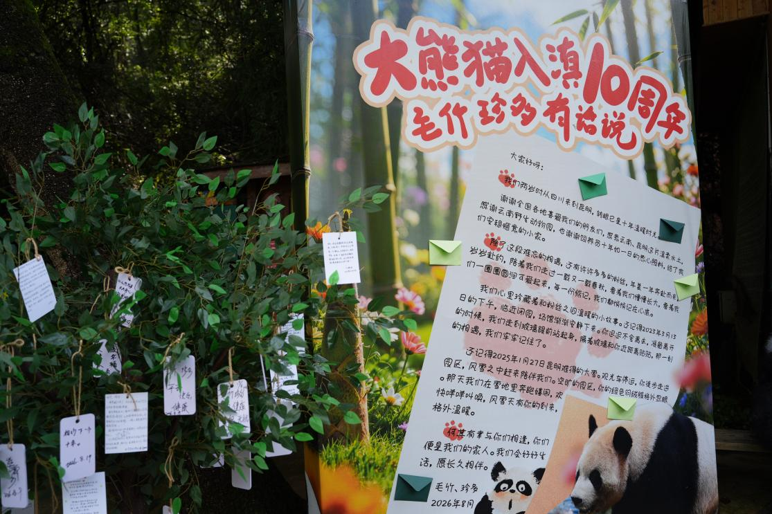守护者们代笔为两位国宝写下的“心里话”。