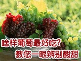 郑爽《<em>天下女人</em>》羞涩谈吻戏 曝<em>张翰</em>吻前忙刷