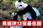房事技巧帮你预定宝宝性别