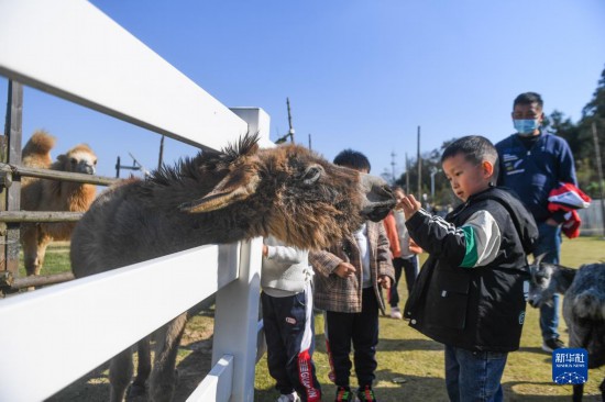 卉弘生态园,森林水世界等优质农文旅项目,全力推进特色乡村旅游和美丽