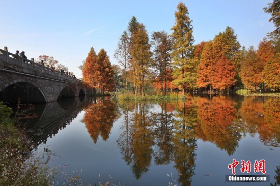 南京紫金山燕雀湖初冬时节景如画-贵阳网