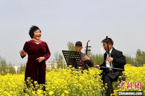 4月18日码头镇大龙湾村油菜花盛开绽放，当地戏曲爱好者在油菜花中表演。　苗凤强 摄
