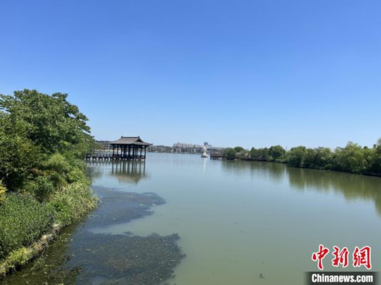 杭州塘棲：千年古鎮有何“新氣質”？