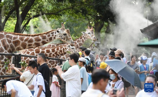 广州动物园毛孩子们的避暑“凉方”