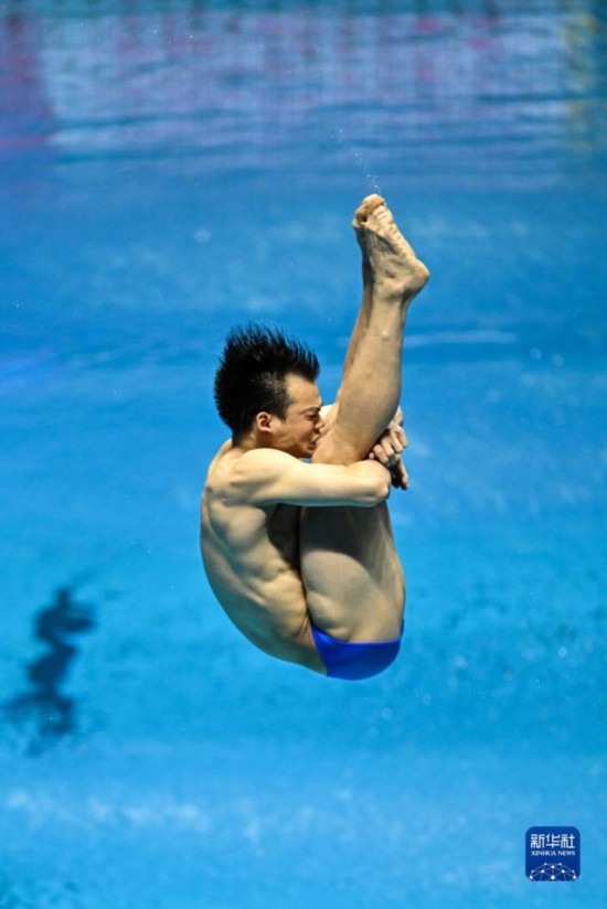 游泳世锦赛：跳水——男子1米板预赛赛况