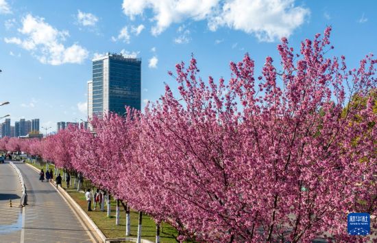 ��������ӣ������5��