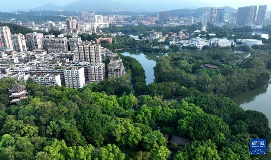 福州西湖-左海湿地公园沿岸城市风光(8月1日摄,无人机照片 )。