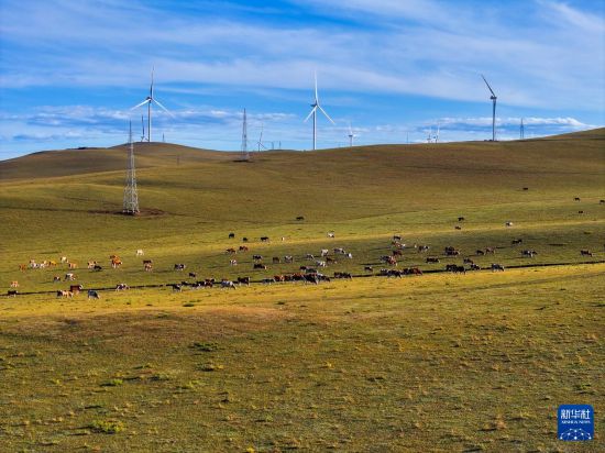 这是9月19日拍摄的扎鲁特草原秋景（无人机照片）。