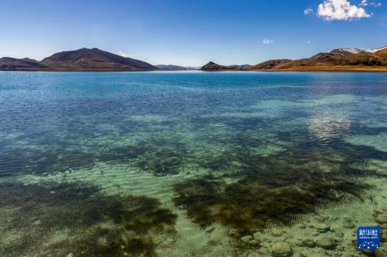 这是11月20日拍摄的羊卓雍错。