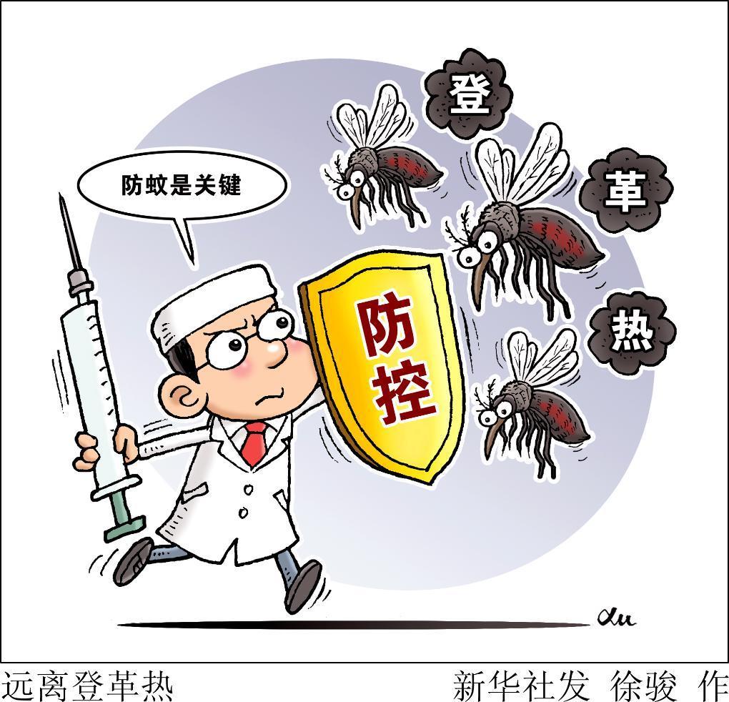 我国部分省份现登革热散发病例 专家提示防蚊虫孳生
